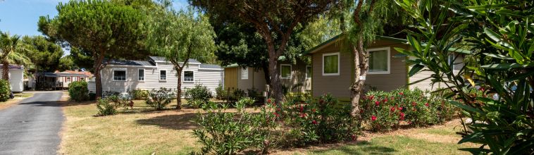 soleil de la mediterranee