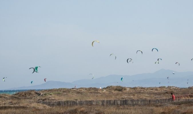 Cerfs volants à Leucate